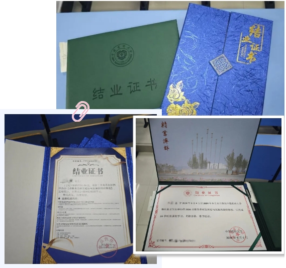 微信截图_20240911100102