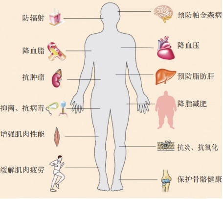 微信截图_20241127095815