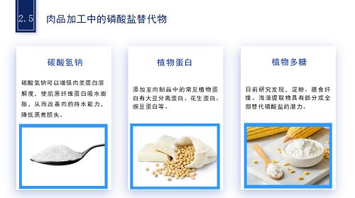 微信图片_20250416092519